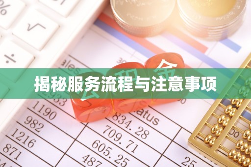 宁城揭秘服务流程与注意事项