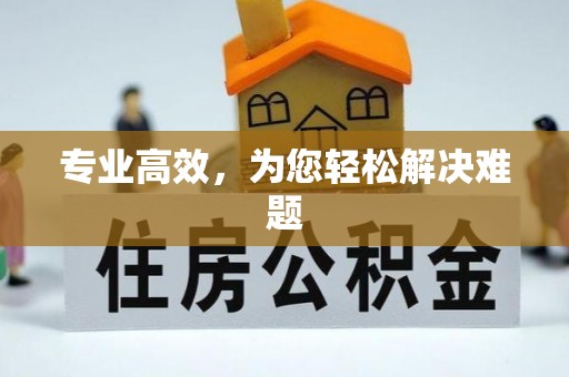 宁城专业高效，为您轻松解决难题