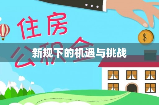 宁城新规下的机遇与挑战