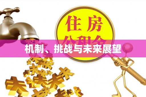 宁城机制、挑战与未来展望