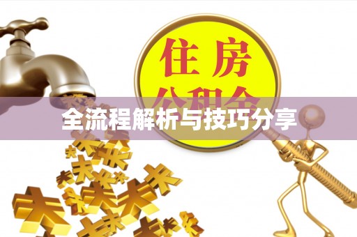 宁城全流程解析与技巧分享
